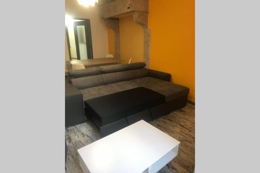 Le Bouvier Vesulien Apartment Vesoul Luaran gambar