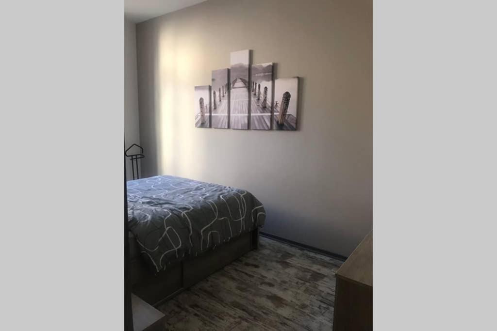 Le Bouvier Vesulien Apartment Vesoul Luaran gambar