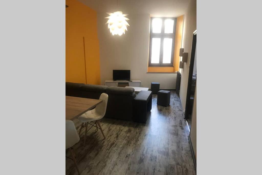 Le Bouvier Vesulien Apartment Vesoul Luaran gambar