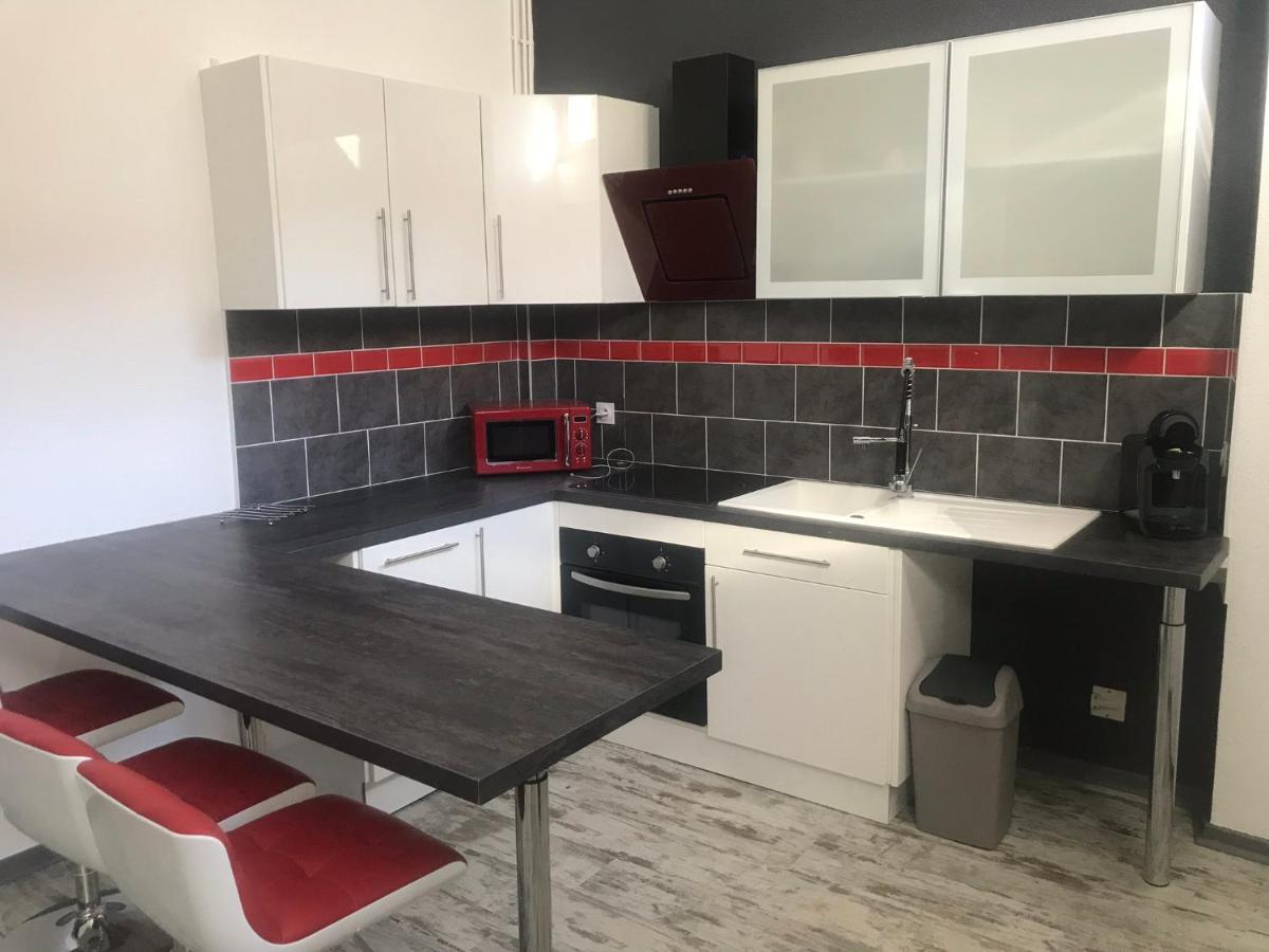 Le Bouvier Vesulien Apartment Vesoul Luaran gambar